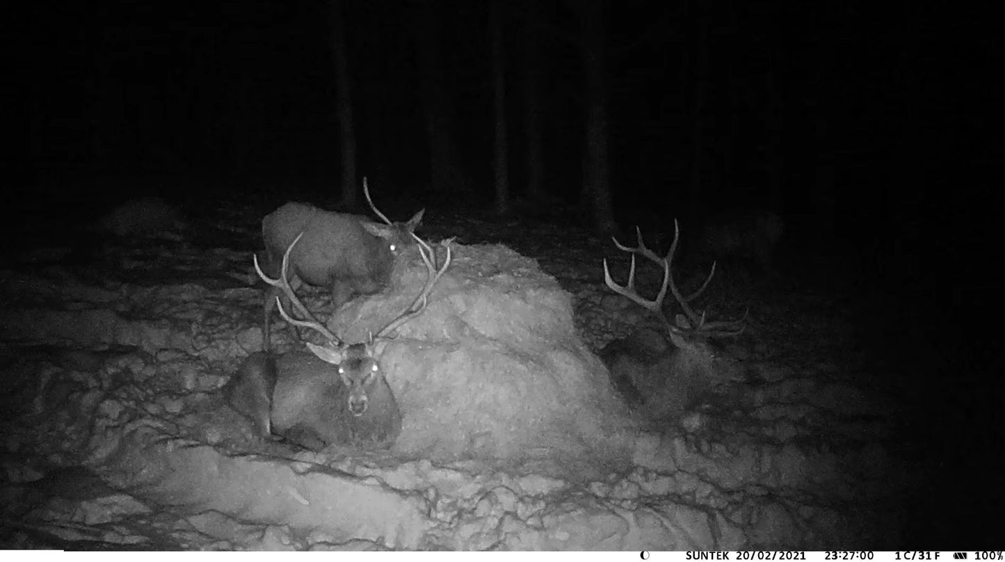 TerraCam 4G Pro 30 — 30 MP · 4K