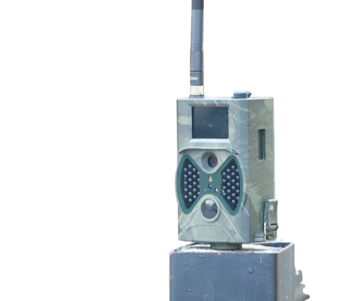 TerraCam Trail 300M — 16 MP · IR · Envoi MMS/Email (2G)