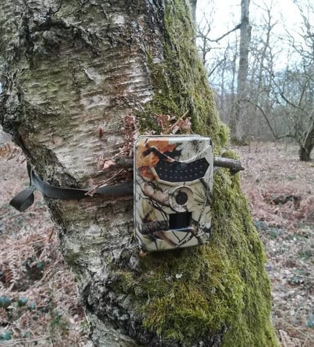 Comment choisir une caméra de chasse adaptée à ses besoins ? TerraCam