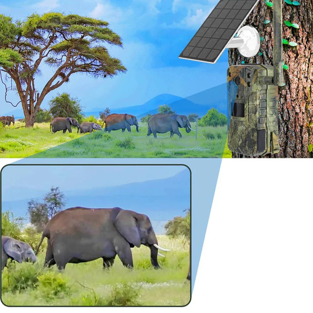 TerraCam Solis T31  Caméra 4G Solaire 4MP · Vision nocturne 30 m