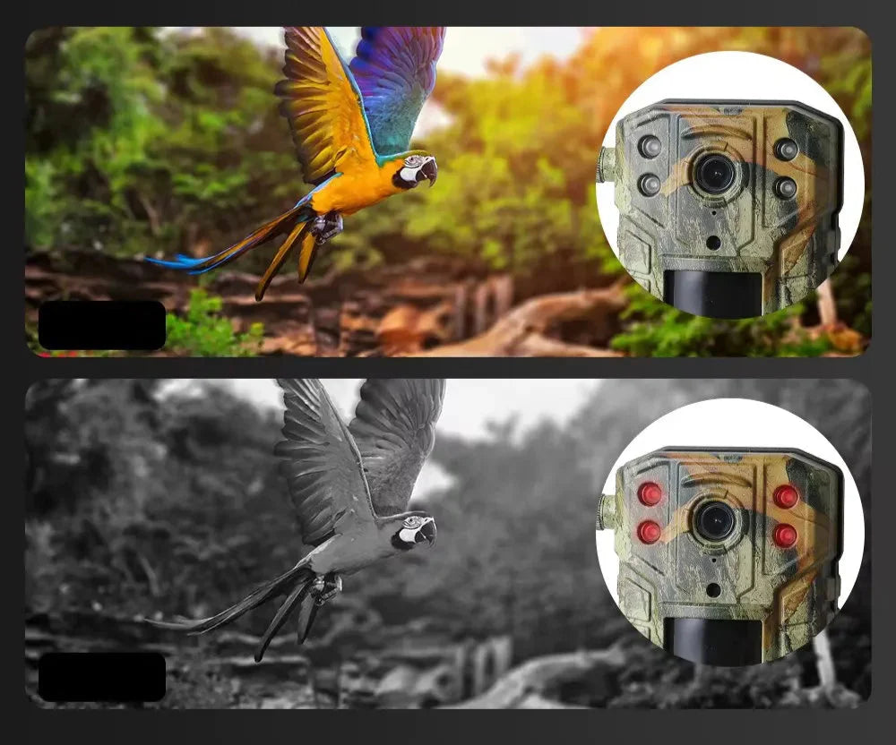 TerraCam Solis T31  Caméra 4G Solaire 4MP · Vision nocturne 30 m