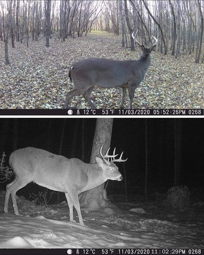 TerraCam Scout 810M — 20 MP