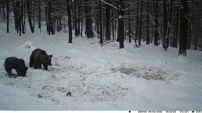 TerraCam 4G Pro 30 — 30 MP · 4K