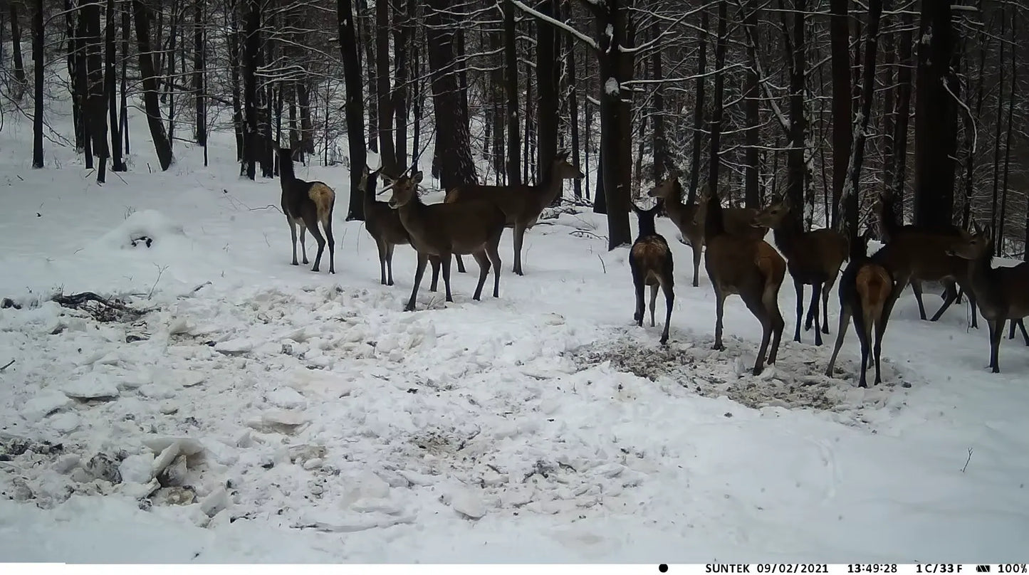 TerraCam Lithium 20 — 20 MP · 1080p · Batterie 5000 mAh