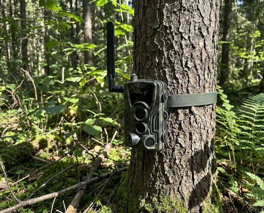 Caméra de chasse 4G 30 MP 4K – TerraCam 4G Pro