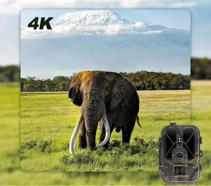 TerraCam Fauna 4G 50 — 4G · Photo 50 MP · IR longue portée