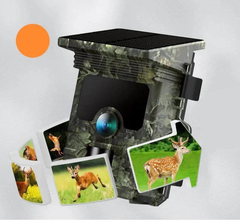 TerraCam Solar H201 30 — 30 MP · Panneau solaire intégré