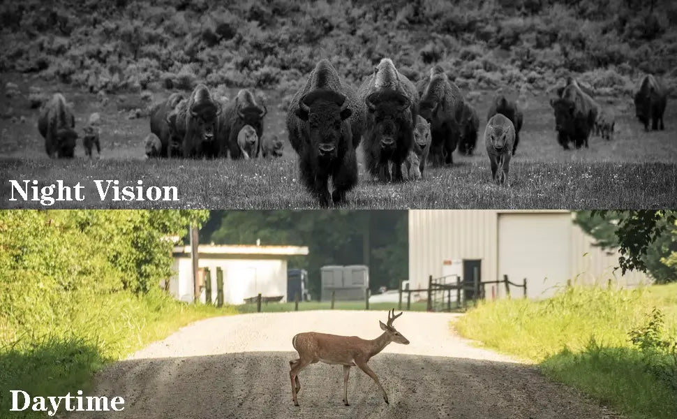 TerraCam Fauna 4G 50 — 4G · Photo 50 MP · IR longue portée