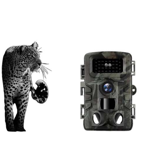 TerraCam Rapid 36 PR — 36 MP · Déclenchement 0,2–0,6 s