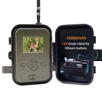 TerraCam Fauna 4G 50 — 4G · Photo 50 MP · IR longue portée